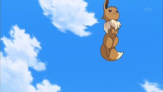 xy (214)