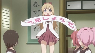 yy-224
