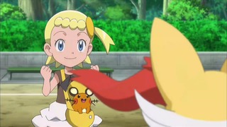 xy (25)