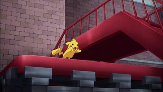 xy (148)