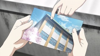 cap (29)