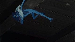 xy (115)