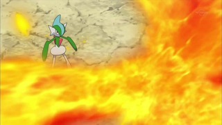 xy (153)