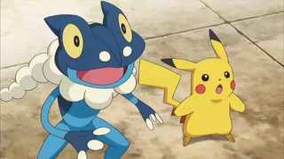 xy (53)