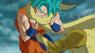 cap (4)