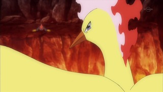 xy (132)