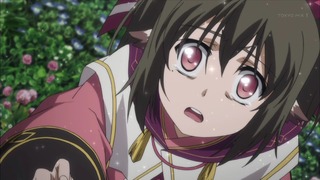 uta (127)