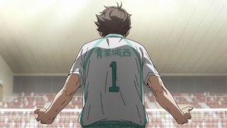 cap (315)