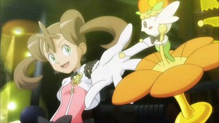 xy (77)