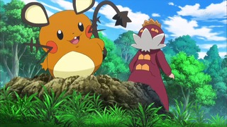 xy (56)