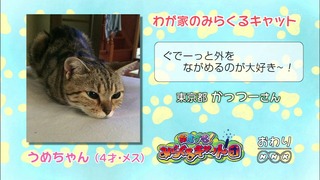 cap (151)