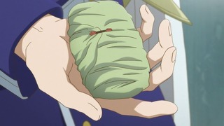 cap (17)