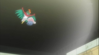pokemon51 (155)