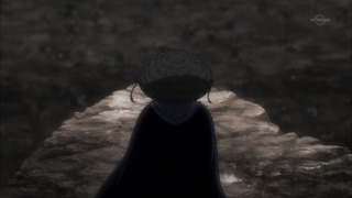 cap (243)