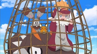 xy (70)