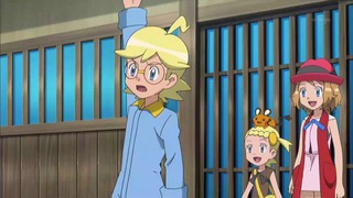 xy (133)