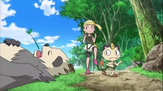 xy (95)