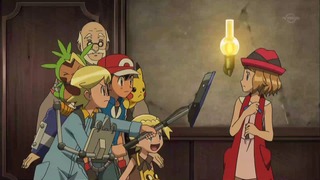 xy (66)