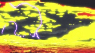 cap (164)