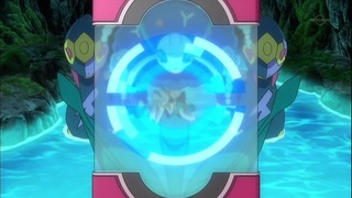 xy (39)