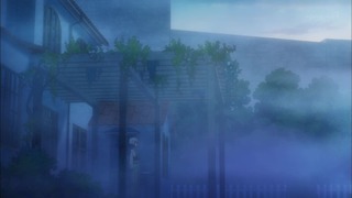 cap (12)