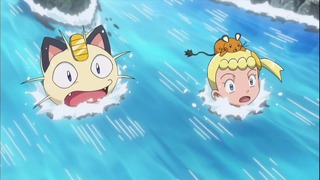 xy (121)