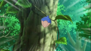 xy (109)