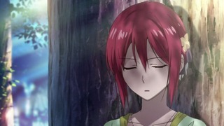 cap (6)