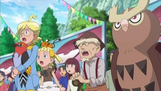 xy (117)