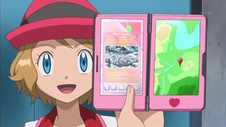 xy (228)