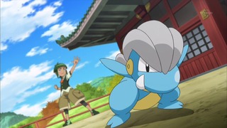 xy (48)