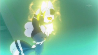 xy (101)