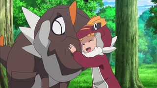 xy (30)