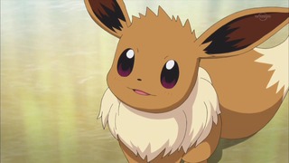 xy (144)
