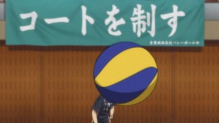 cap (133)