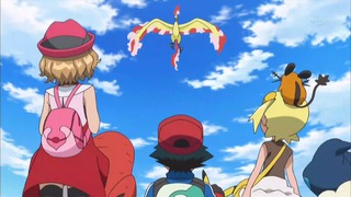 xy (167)