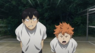cap (228)