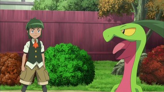 xy (152)