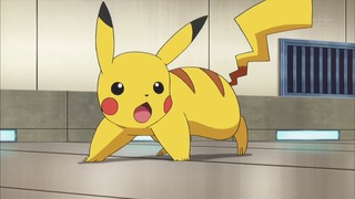 xy (65)