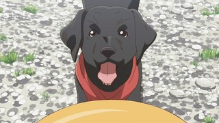 yama20_80