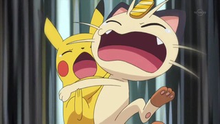 xy (101)