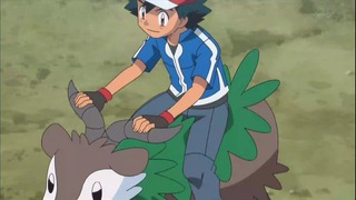 xy53 (35)