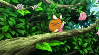 xy (68)