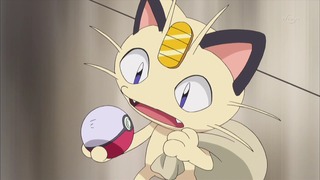 xy (56)