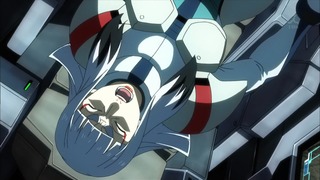cap (253)