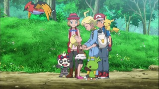 xy (136)