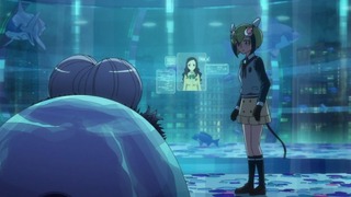 cap (263)