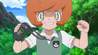 xy (41)