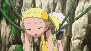 xy (26)