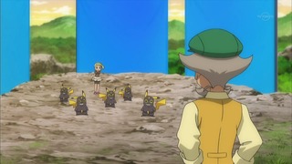 xy (240)